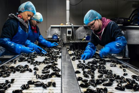 Future trends and innovations in the agri-food sector