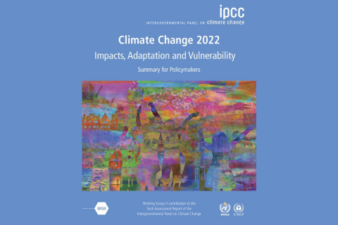 Time to act! Summary of the IPCC report on climate change