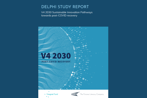 V4 2030 Delphi Study Report