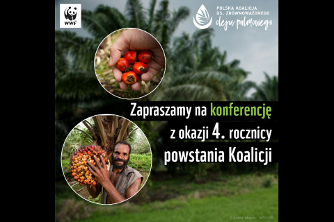 Palm oil in Poland