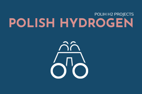Polish Hydrogen