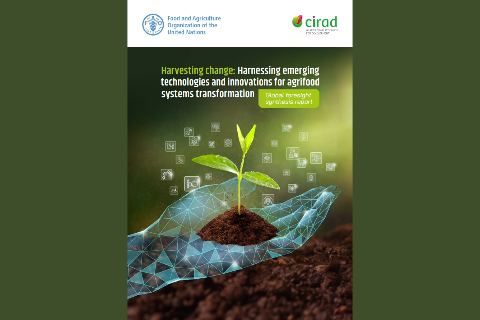 Harnessing Emerging Technologies and Innovations for Agrifood System Transformation
