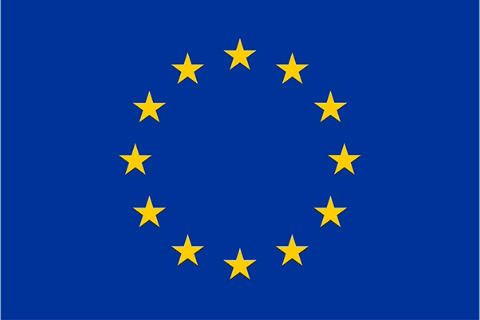 4CF advises European Commission