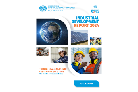 Industrial Development UNIDO Report