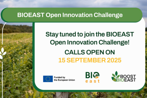 Drive sustainable bioeconomy innovation